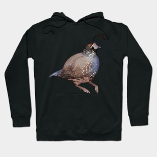 Cozy Quail Hoodie